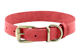 Luksuzna Pasja Ovratnica iz Pravega Usnja