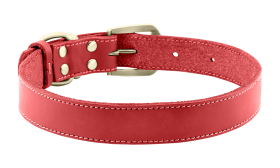 Luksuzna Pasja Ovratnica iz Pravega Usnja