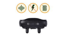Pasja Ovratnica proti Laježu Pasja Ovratnica proti Laježu