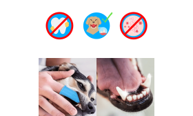 360º Silikonska Zobna ščetka za Pse v Obliki Naprstnika