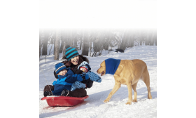 Pasji šal Proti Anksioznosti za Zaščito pred Hrupom, Ušesi in Mrazom