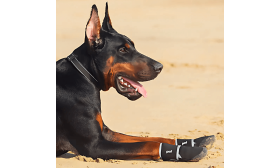 360° Odsevni Varni Pasji Čevlji – Vodoodporni in Nedrseči Čevlji za Zaščito Tačk