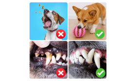 Interaktivna Žoga z Dozatorjem Posladkov – Gumijasta Pasja Igrača za Mentalno Zaposlitev Interaktivna Žoga z Dozatorjem Posladkov – Gumijasta Pasja Igrača za Mentalno Zaposlitev