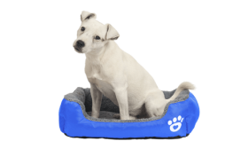 Mehko Pasje Ležišče