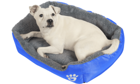 Mehko Pasje Ležišče