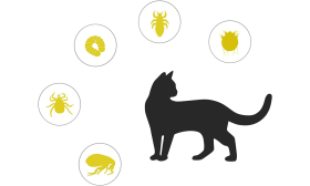 Naravna Ovratnica za Zaščito Mačk Pred Bolhami in Ušmi Collier naturel pour chat contre les puces et les tiques