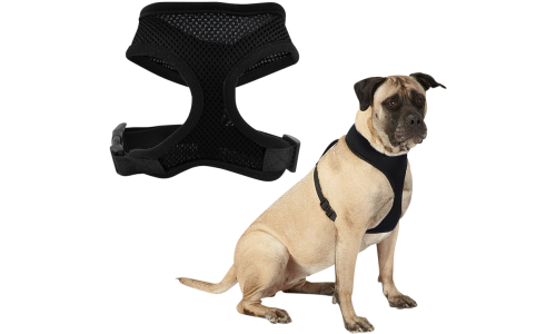 Harnais pour chien