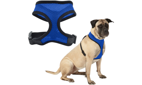 Harnais pour chien