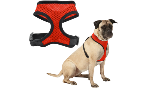 Harnais pour chien