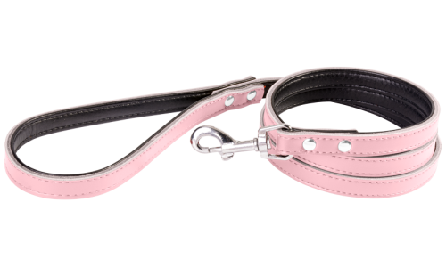 Laisse en cuir