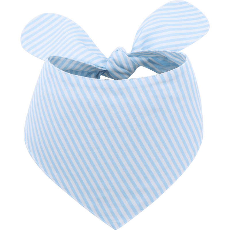 Elegantna pasja Bandana